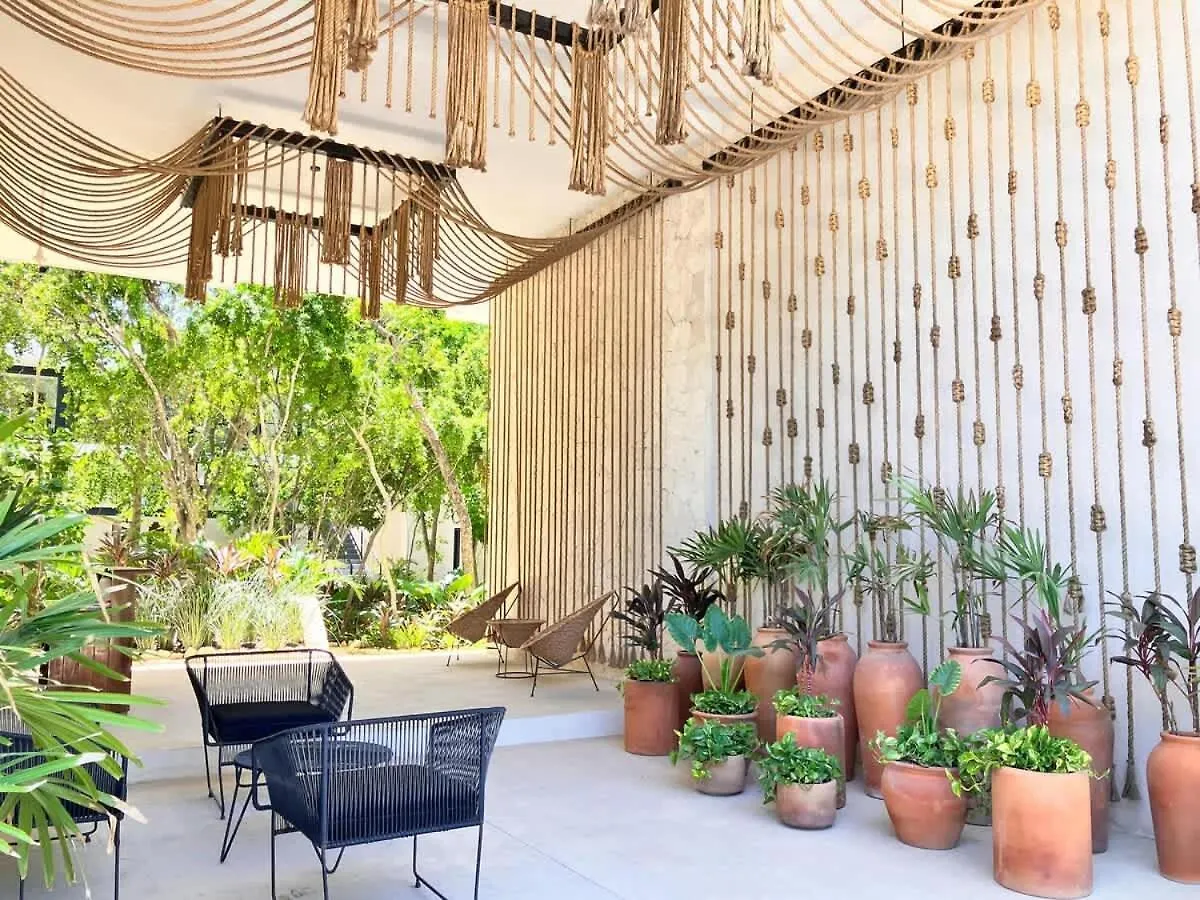 Semesterbostad Tulum Groups Home For 7 Guest With 2 Bedrooms Balcony Common Pool Gym Yoga And Mini Market Ximbal