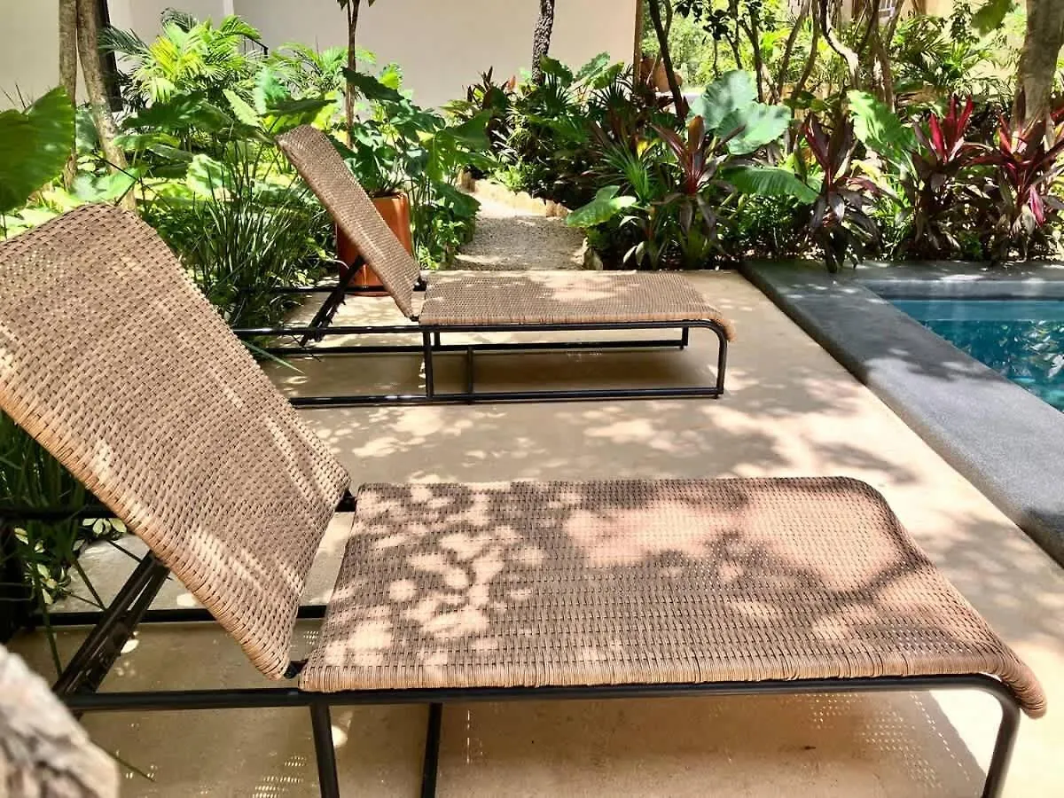 Tulum Groups Home For 7 Guest With 2 Bedrooms Balcony Common Pool Gym Yoga And Mini Market Ximbal