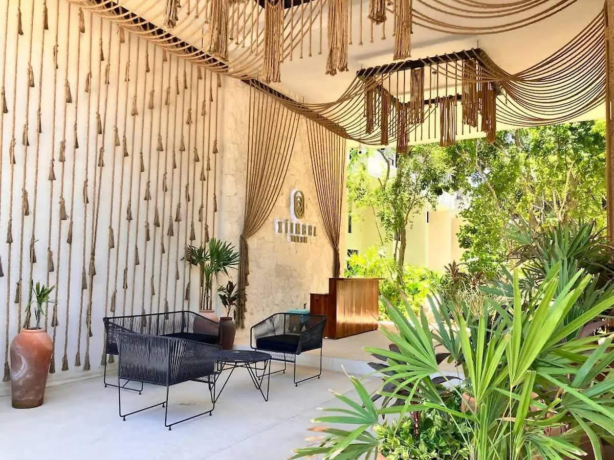 Tulum Groups Home For 7 Guest With 2 Bedrooms Balcony Common Pool Gym Yoga And Mini Market Ximbal